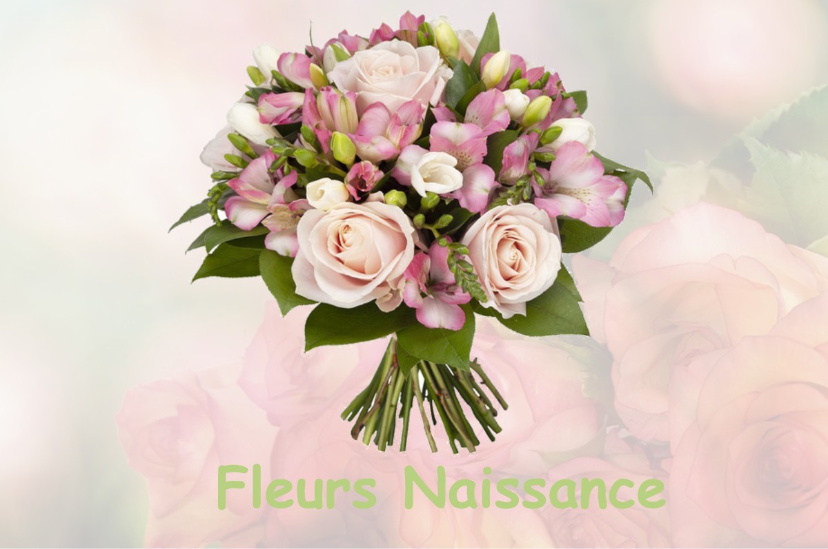 fleurs naissance L-AUBEPIN